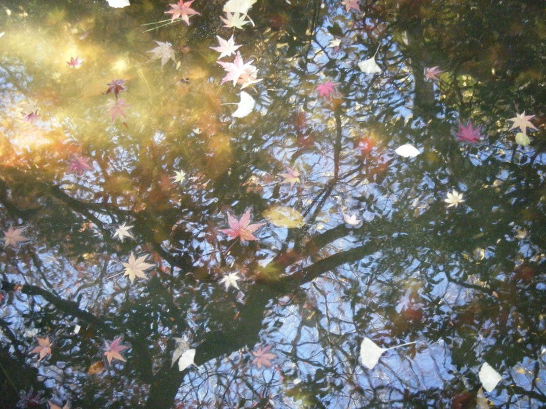 FUJIFILM FINEPIX Z20 ピンク 本体、充電器、4GBSDカード