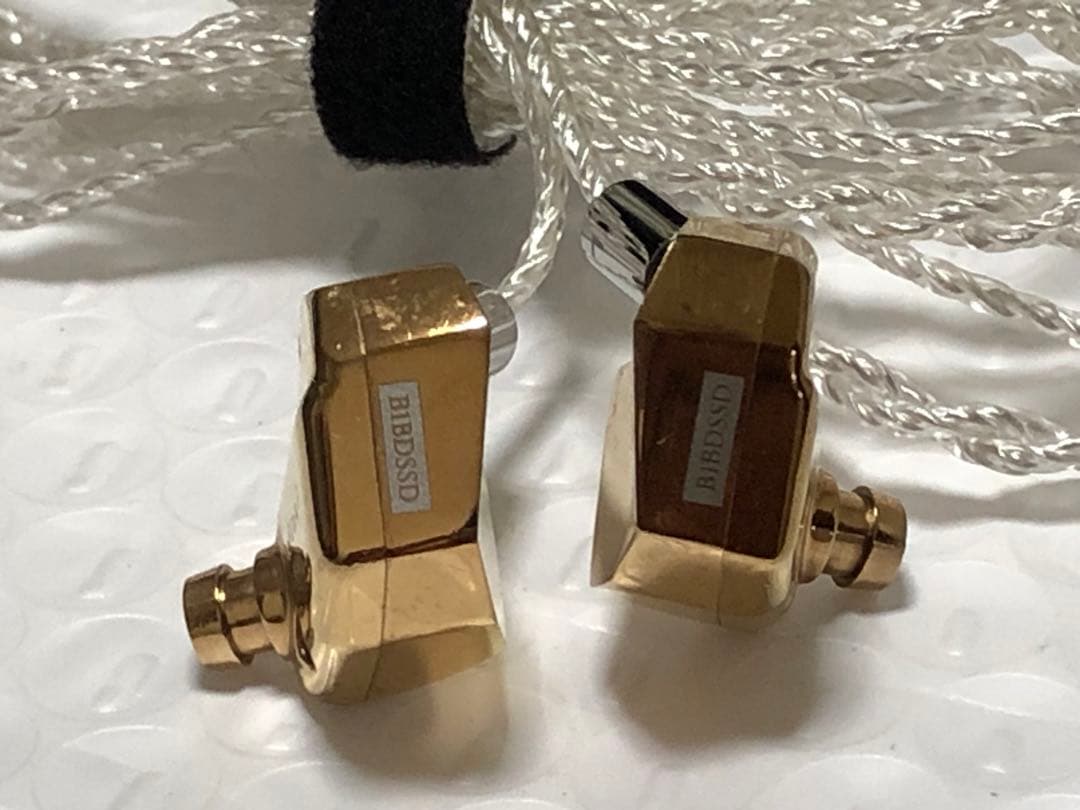 イヤホン final B1