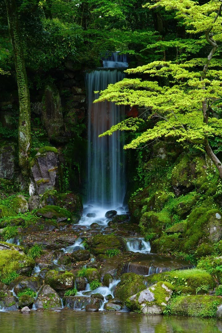 SAMYANG AF75mm F1.8 ソニーEマウント FE