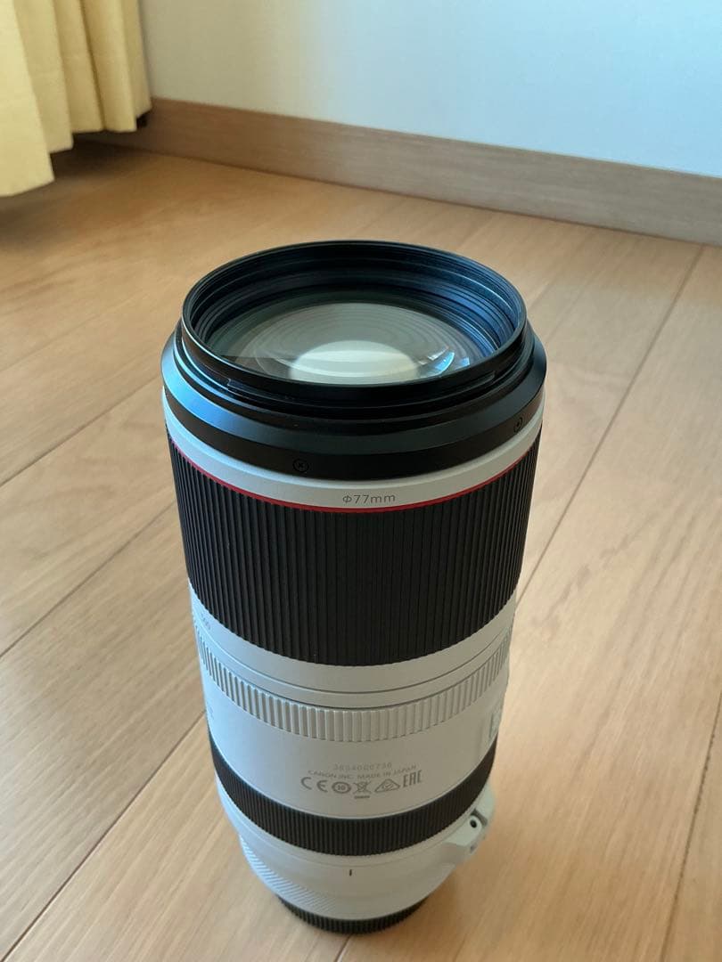 【美品】Canon RF 100-500mm F4.5-7.1 L IS USM