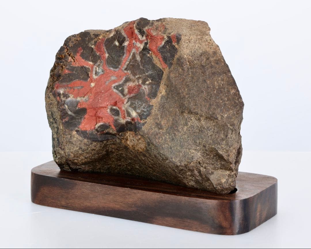 G*o様 菊花石 紋石 台座付 1167g 原石 鑑賞石 天然石 水石 黒曜石