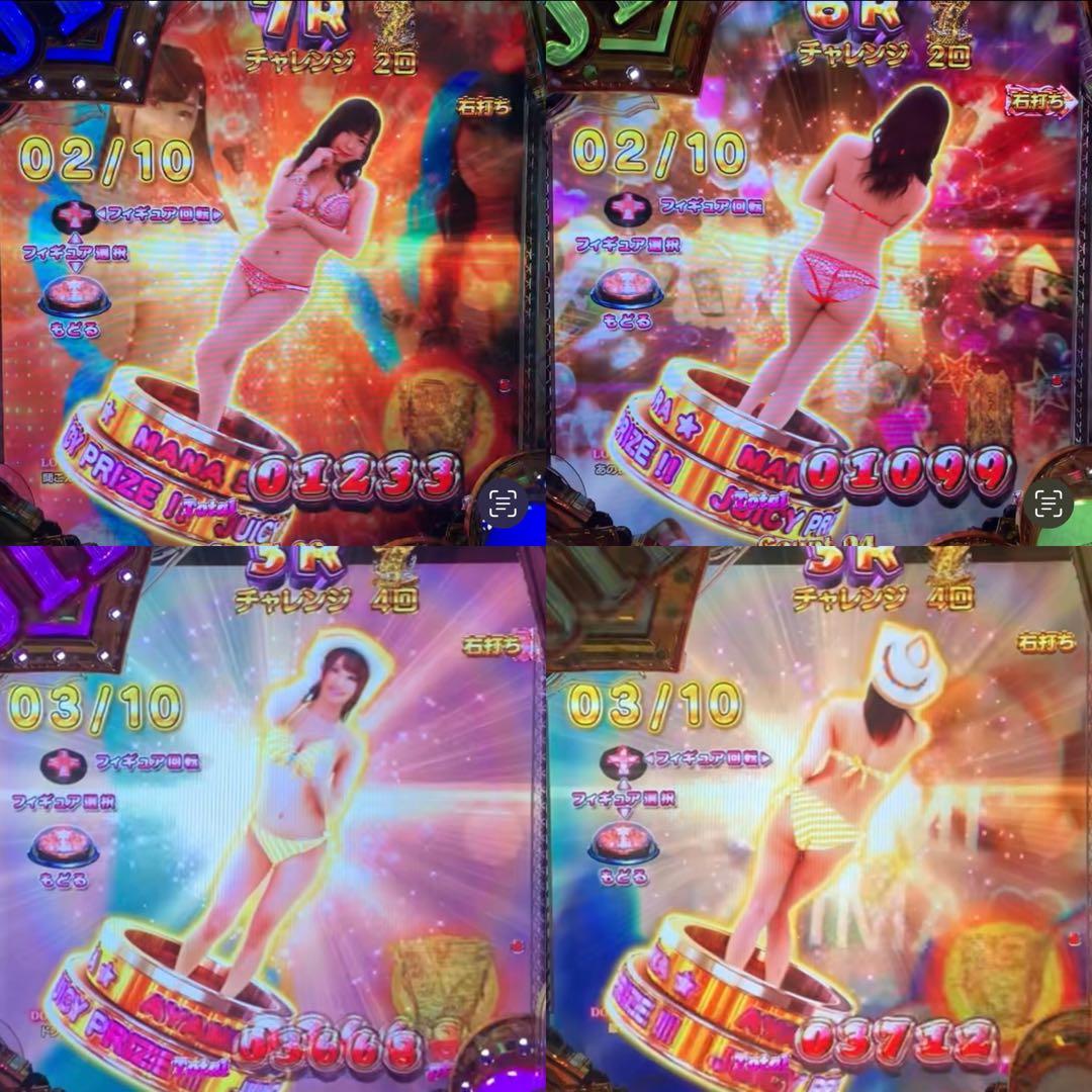 ジューシーハニーハーレム フルオート 循環仕様 家庭用電源