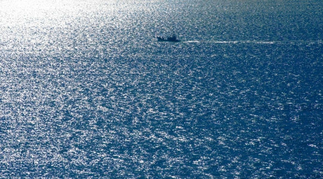 NIKON　D70　ダブルレンズ⚡️初心者⚡️ニコン⚡️一眼レフ⚡️超望遠