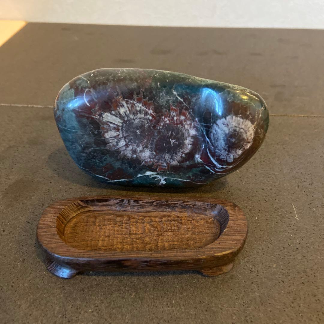 菊花石　★ 鑑賞石　菊花石　水石