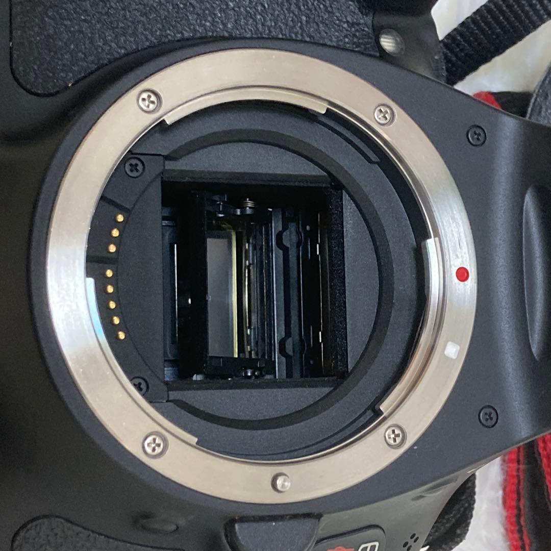 Canon EOS Kiss X5 ジャンク扱い