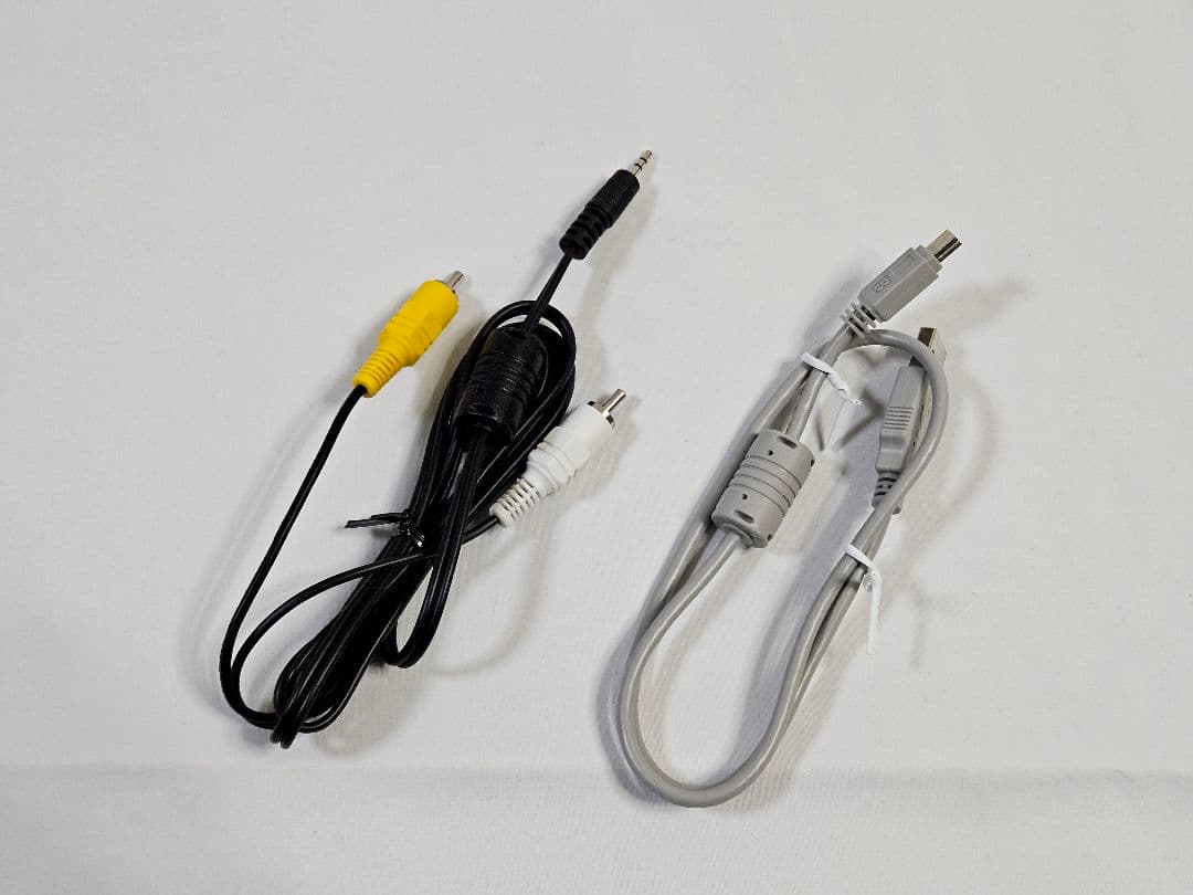 3連休限定価格【箱・純正ケース・予備バッテリー付】RICOH リコー CX1