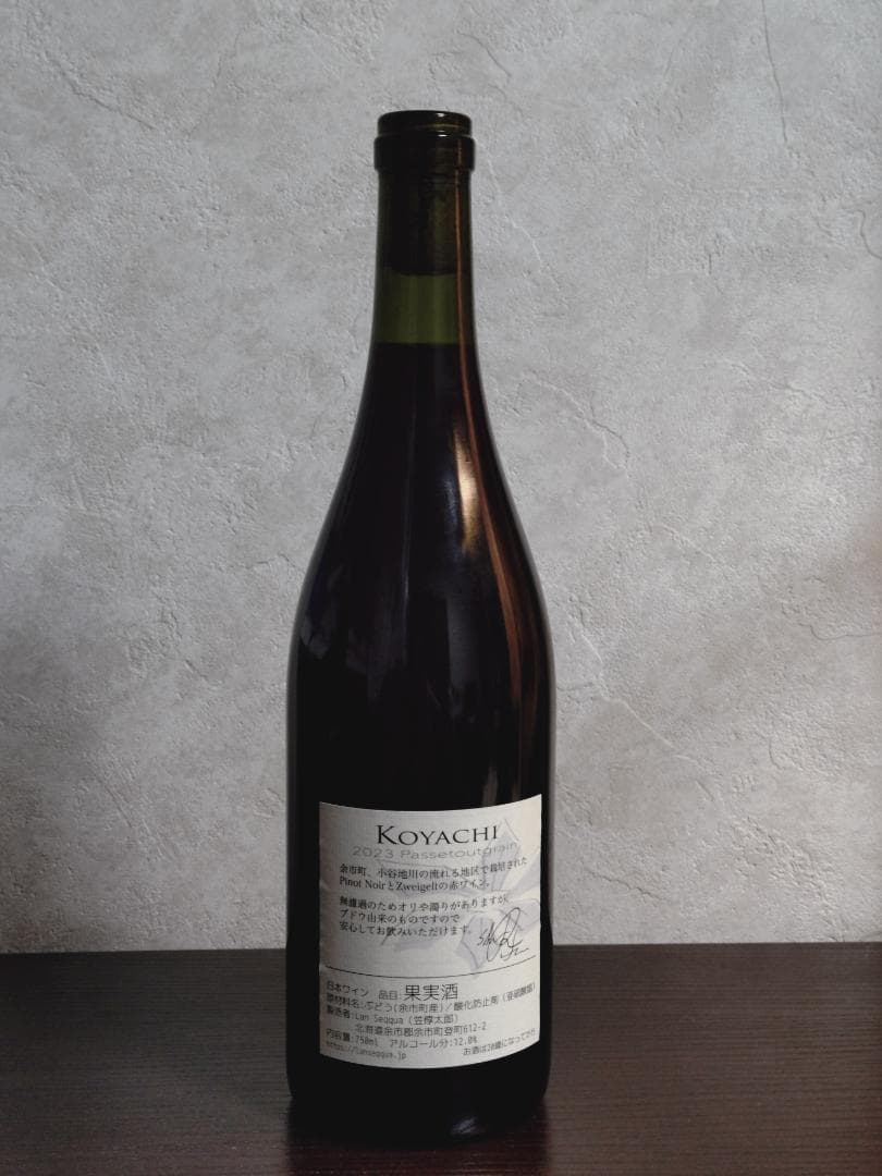 2023 KOYACHI パストゥグラン