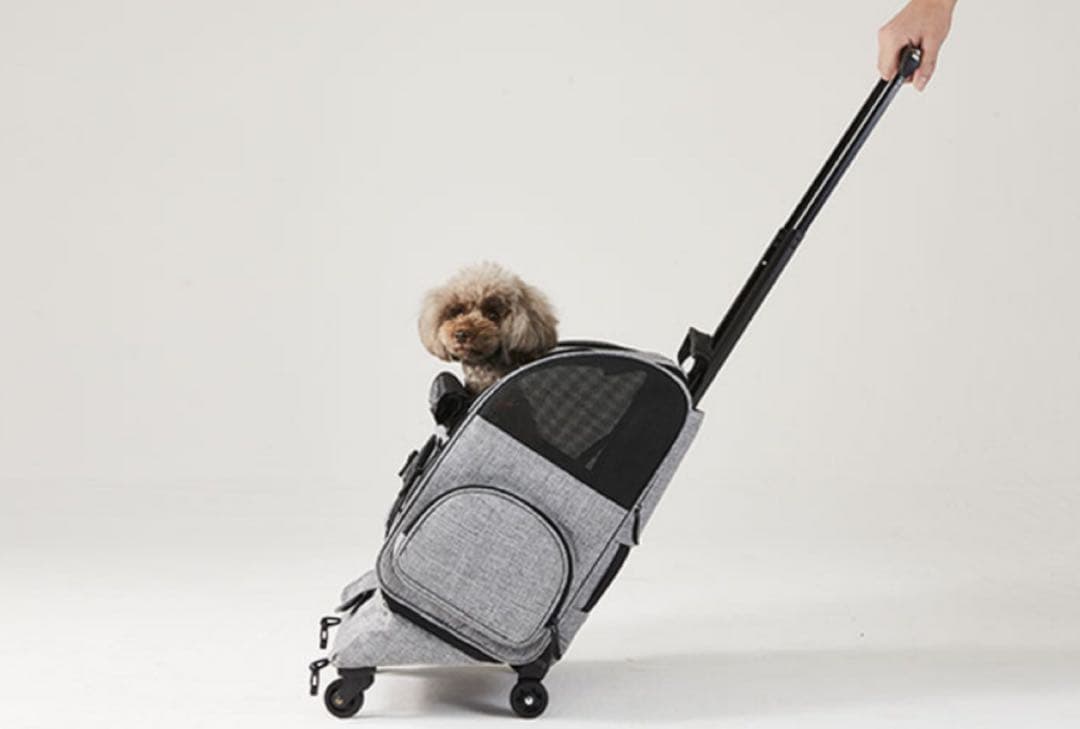 犬用　エアバギーFITT