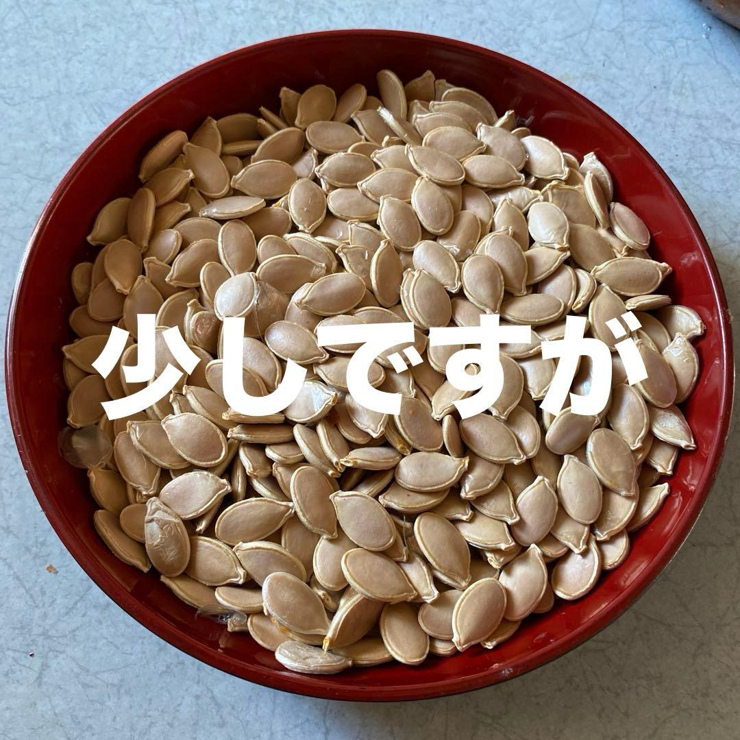 ￼朝鮮五葉松　殻付き松の実2キロその他