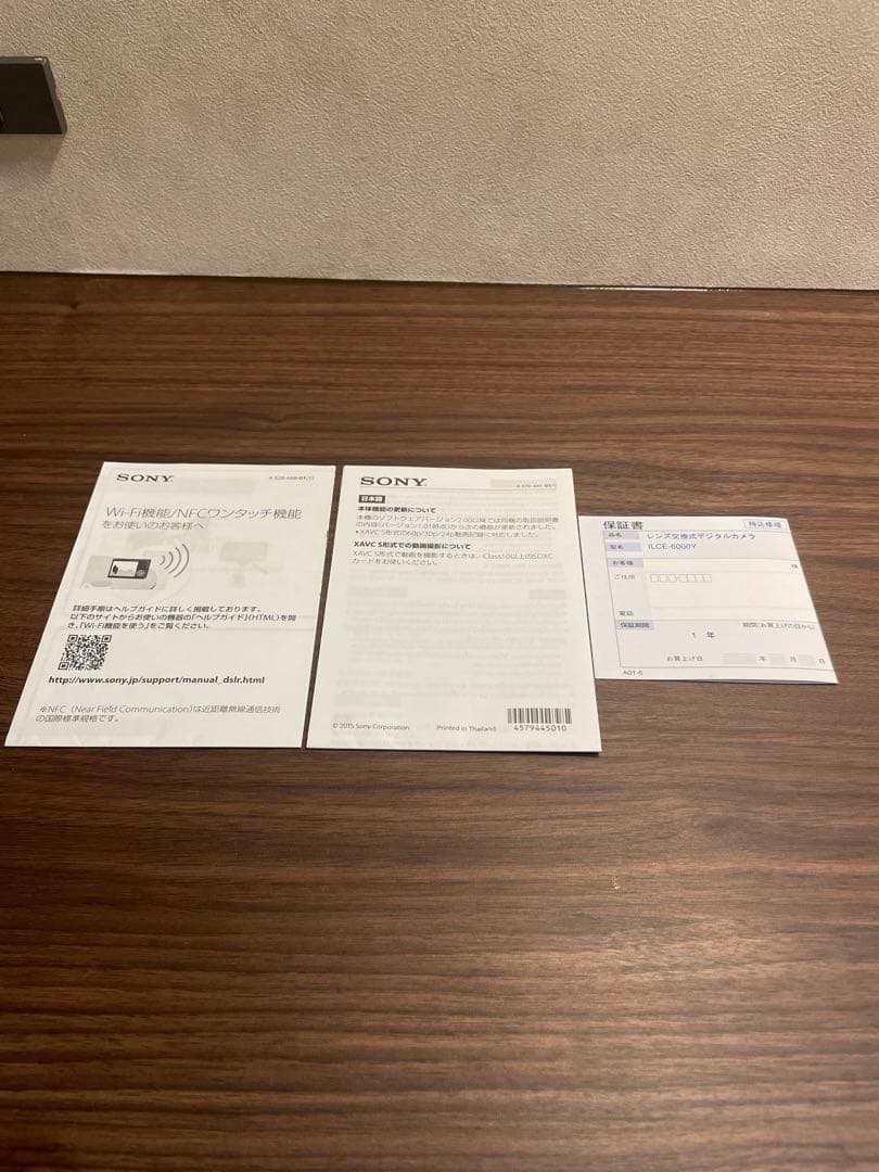 α6000 ダブルズームレンズキット