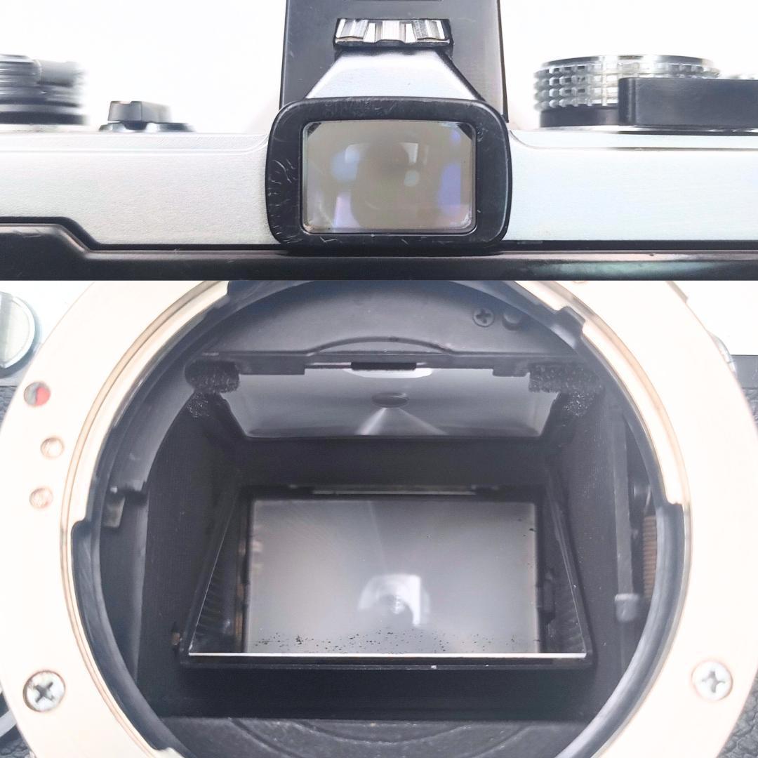 OLYMPUS OM-1 / 50mm F1.8レンズおまけ