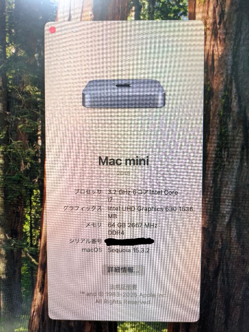 Mac mini 2018 /ストレージ 1TB メモリ 64GB