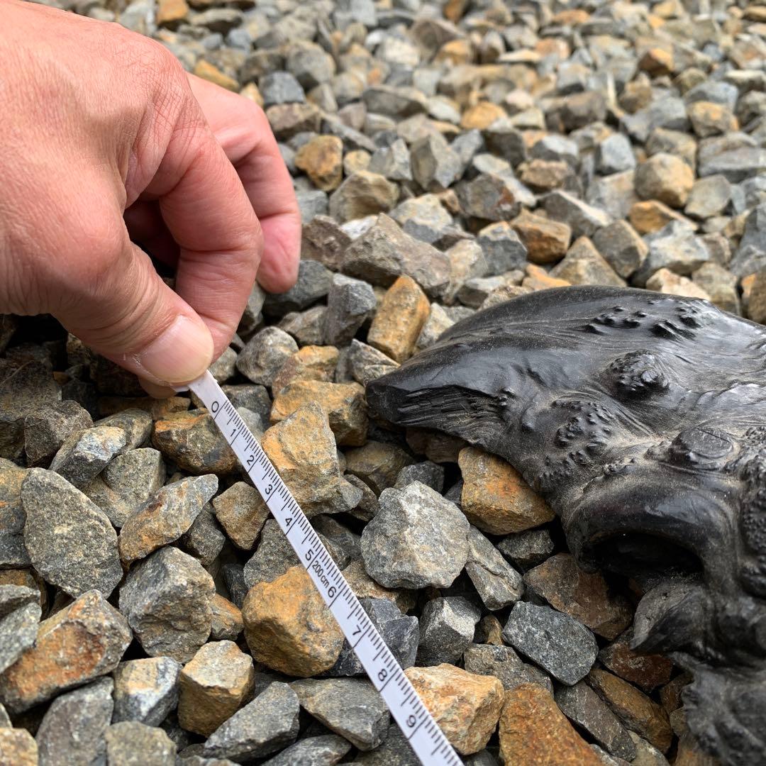 龍岩石、揖斐石/オブジェ