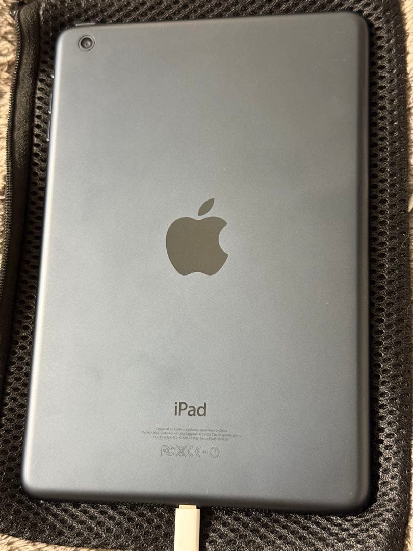 【超貴重】初代iPadと初代iPad mini 2台セット（ゾンビカフェ等対応）