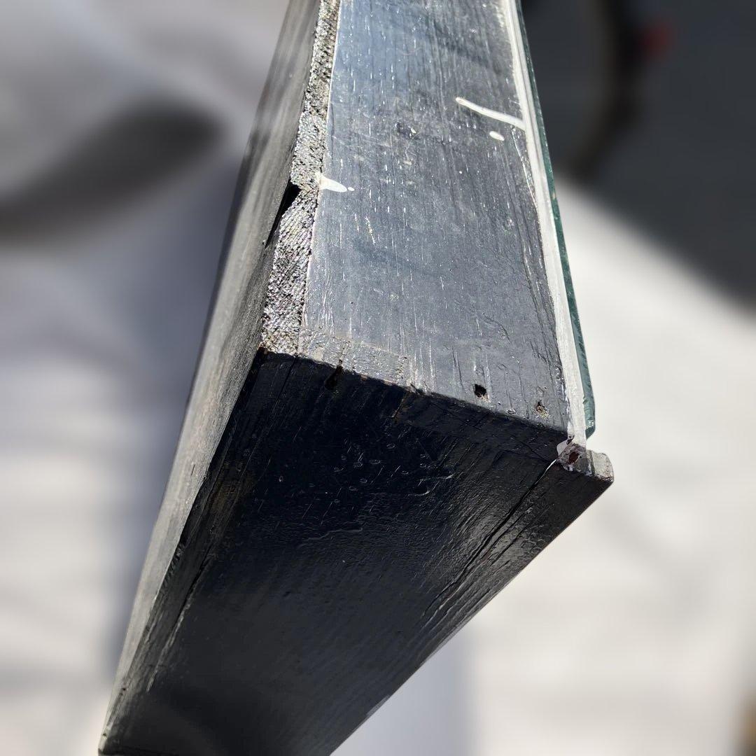 (458)メガネカイマンの幼体と言われる剥製です。