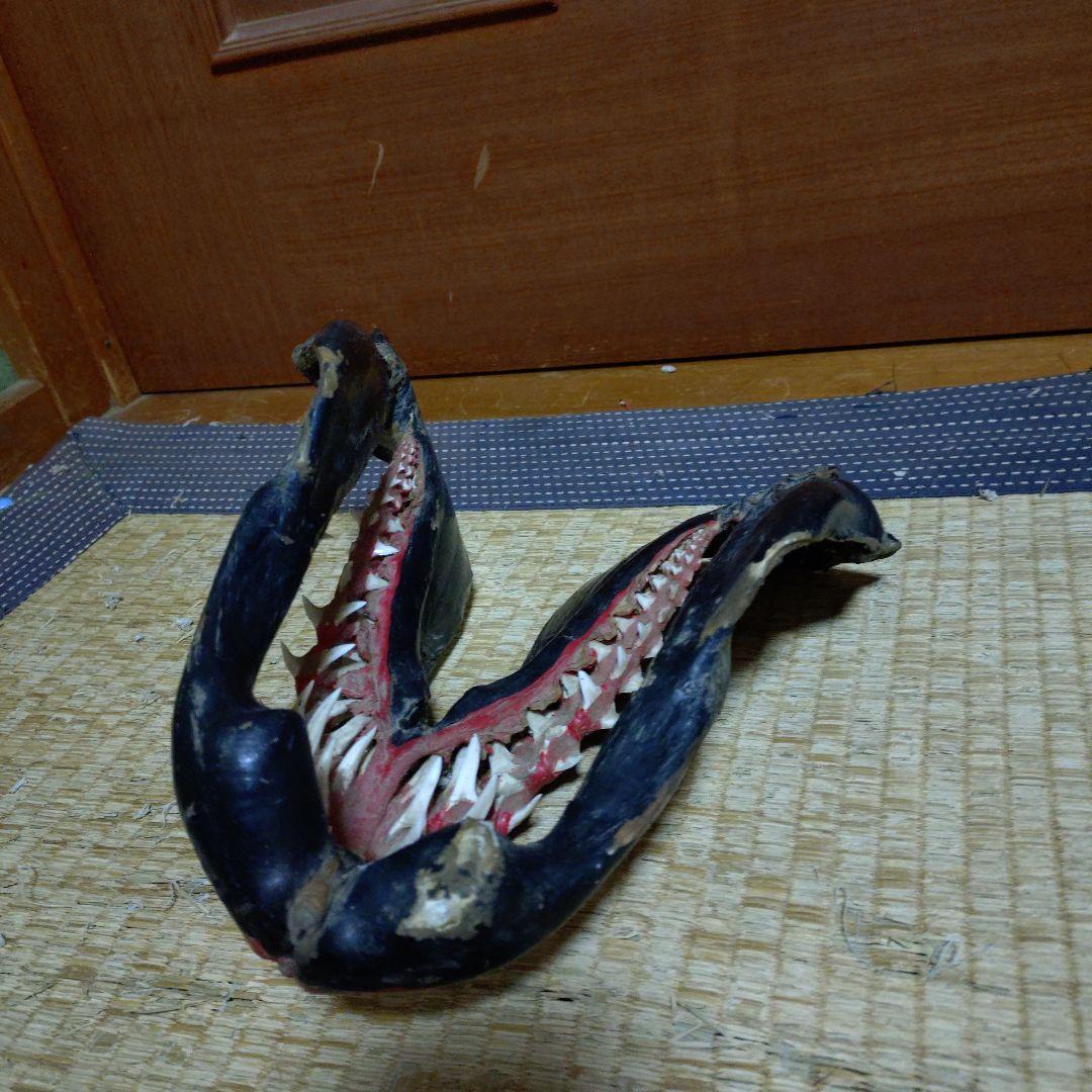 サメ　顎　歯　鮫　インテリア装飾