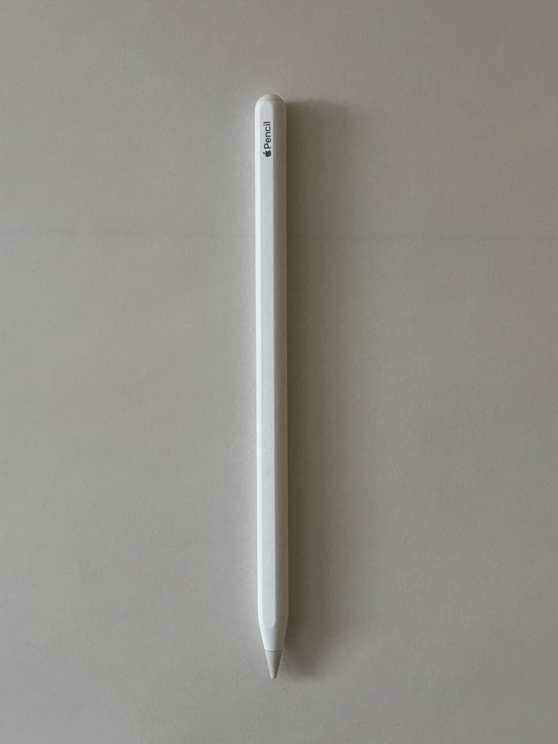美品第5世代Apple iPad Air スペースグレー 本体 256GB