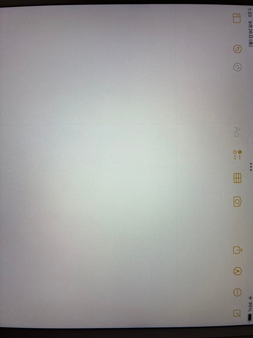 最終値下げ❗️iPad Pro 10.5インチ　本体