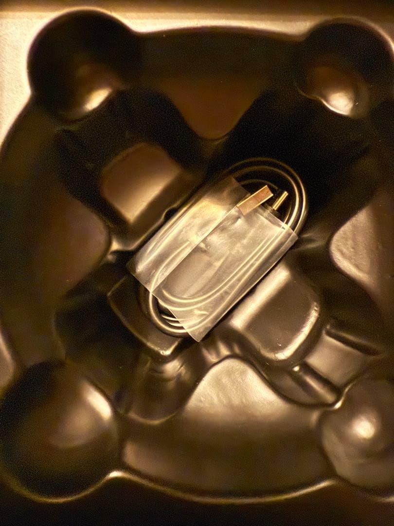 【新品＆未使用】ZoGanKin 15周年限定品！美顔器　リング付き