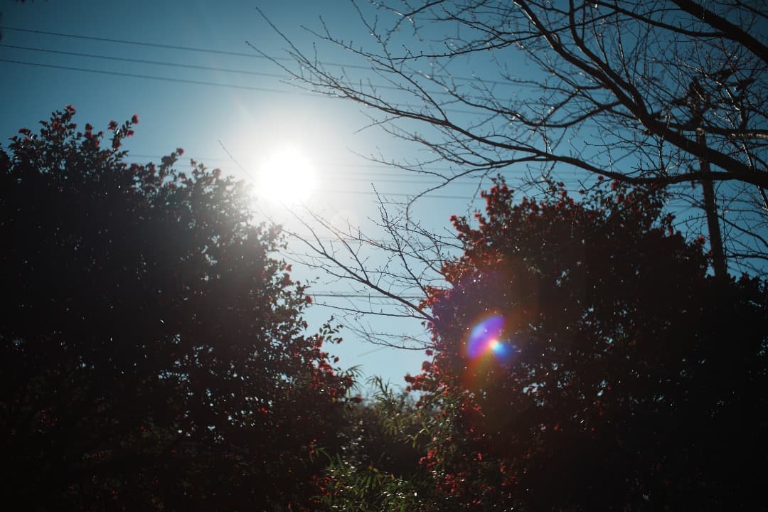 【整備テスト】Nikon Nikkor-o c auto 35mm f2 392