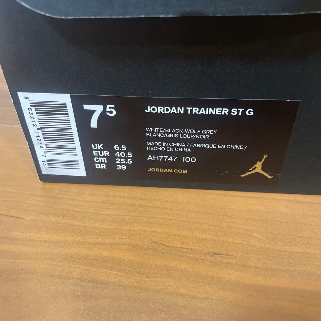 NIKE JORDAN TRAINER ジョーダン トレーナー ST G