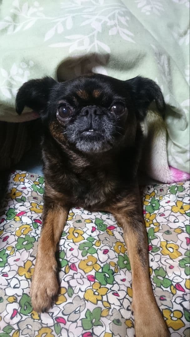 ＡＫＡＲＩさまへ