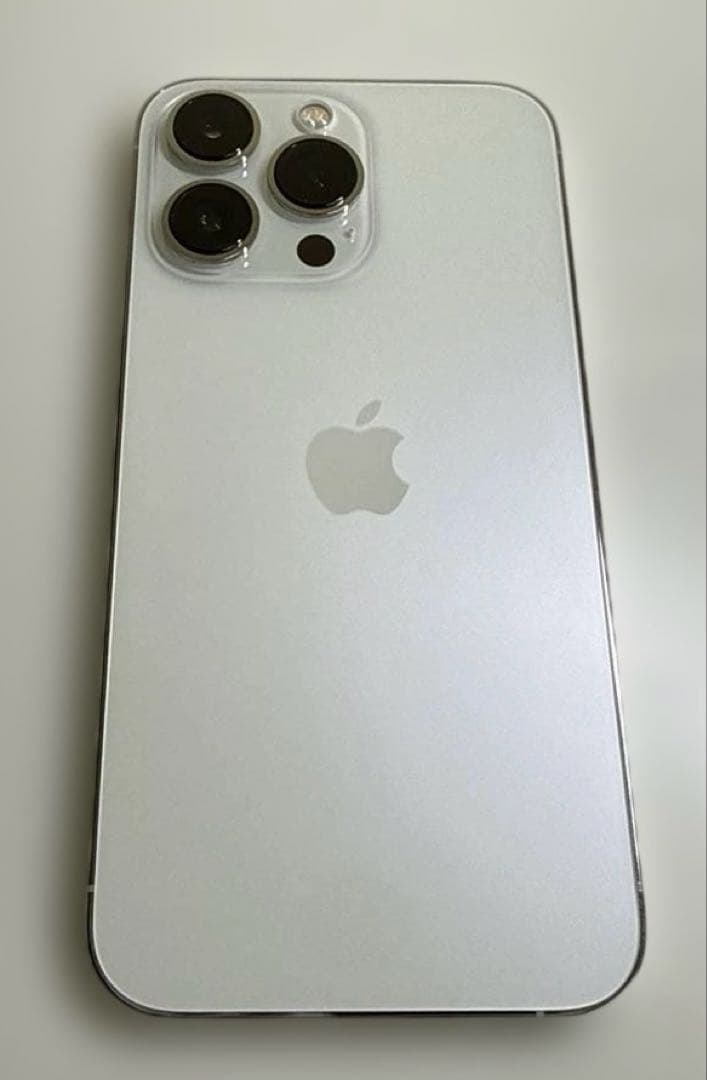 iPhone 13 Pro 256GB シルバー 本体とケース