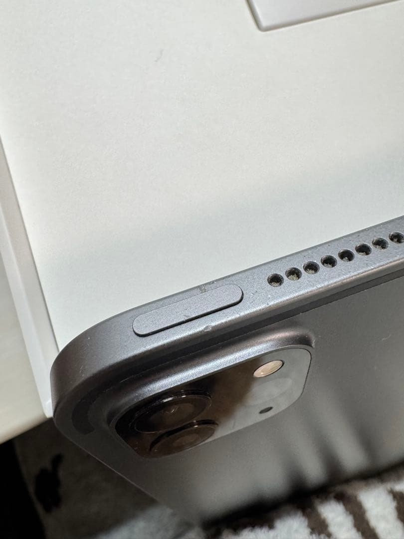 青りんごさん専用　iPad Pro 第4世代256GB 12.9インチ