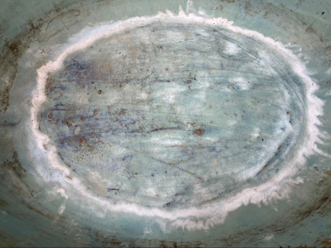 中国美術 睡蓮鉢 花鳥図 ピータン 金魚鉢 メダカ鉢 陶器 大型 楕円形