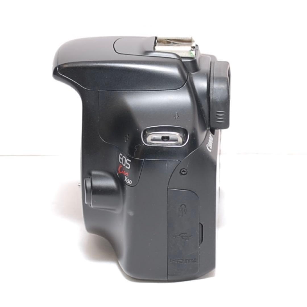 もふもふ 超望遠レンズデビュー✨Canon Kiss X50✨