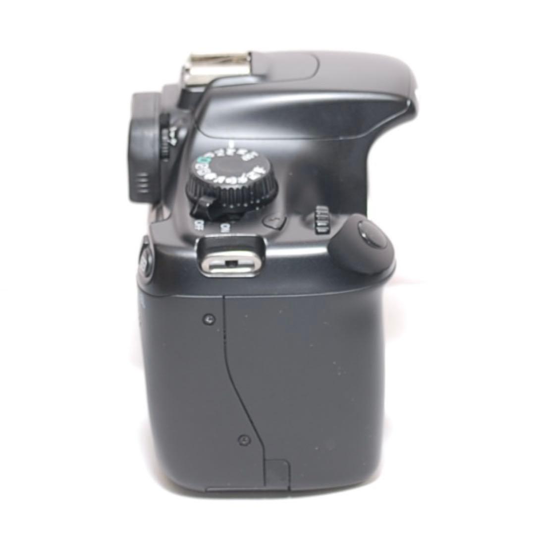 もふもふ 超望遠レンズデビュー✨Canon Kiss X50✨