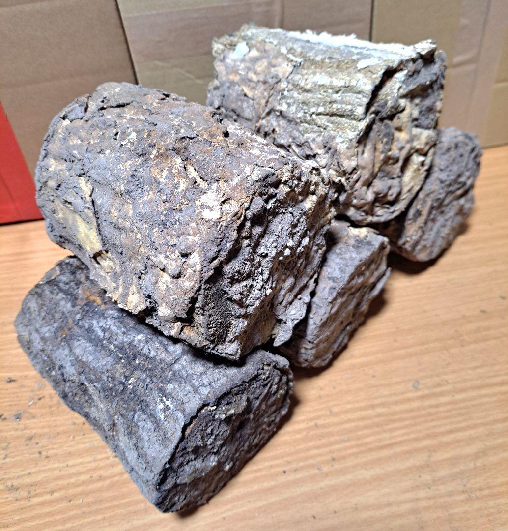 １０本！ Ｌ×５本 Ｍ×５本 クヌギ 土埋め レイシ 霊芝 産卵材 柔らか仕上げ