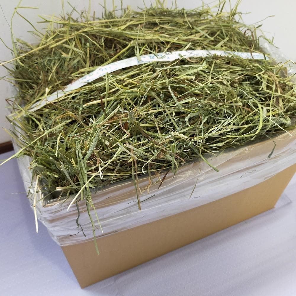 【6/15まで】US産 チモシー 50kg ２番刈 ソフトSプレミアム