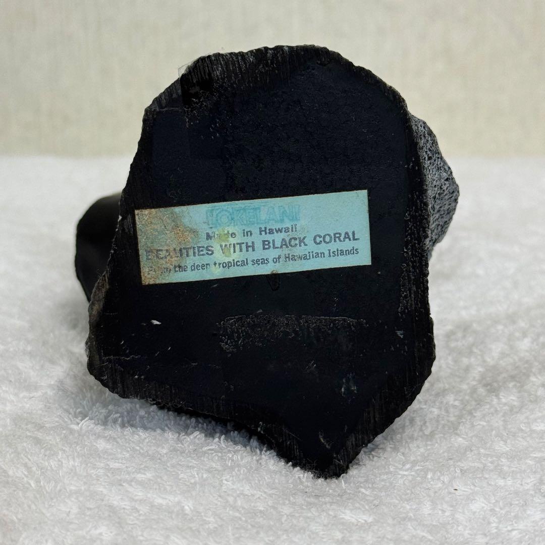 【Myday公式アカウント01】フランクシャーマン　黒珊瑚　ブラックコーラル