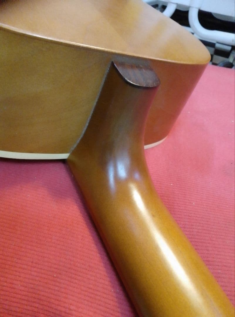 s*l様 Art＆Lutherieアートルシアー ami ゴダンgodin製