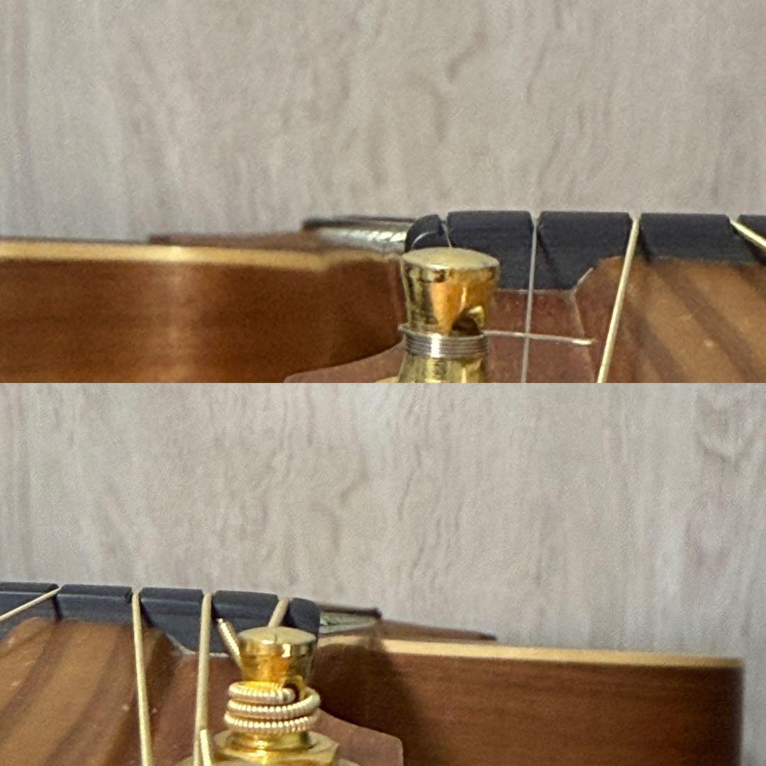 ギター UIUI ColeClark FL2EC RDBW FatLady2