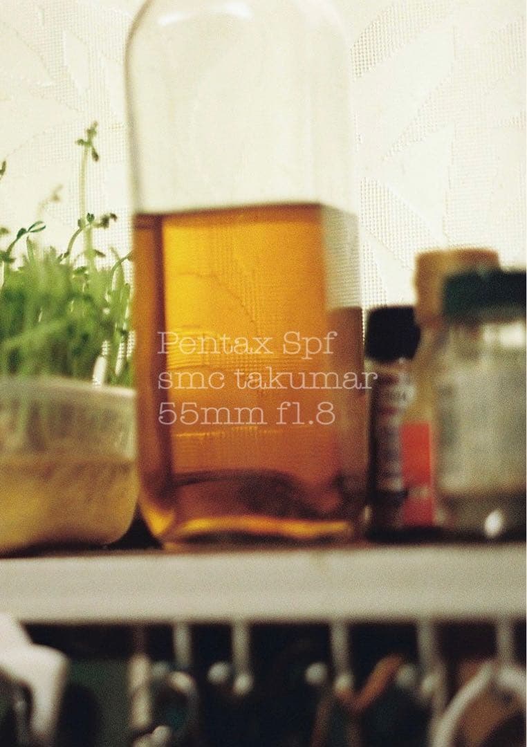 試写作例多数★pentax spf★リザード本革ブラウン★美品＊完動品＊初期保証