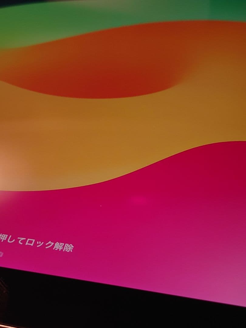 Apple iPad Pro 10.5 cellular スペースグレー