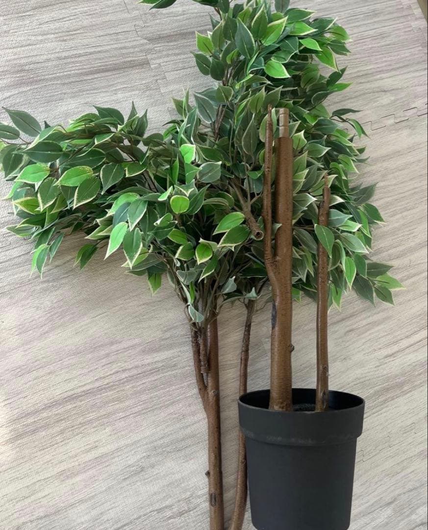 【鉢付き】FEJKA フェイカ 人工観葉植物　ベンジャミン