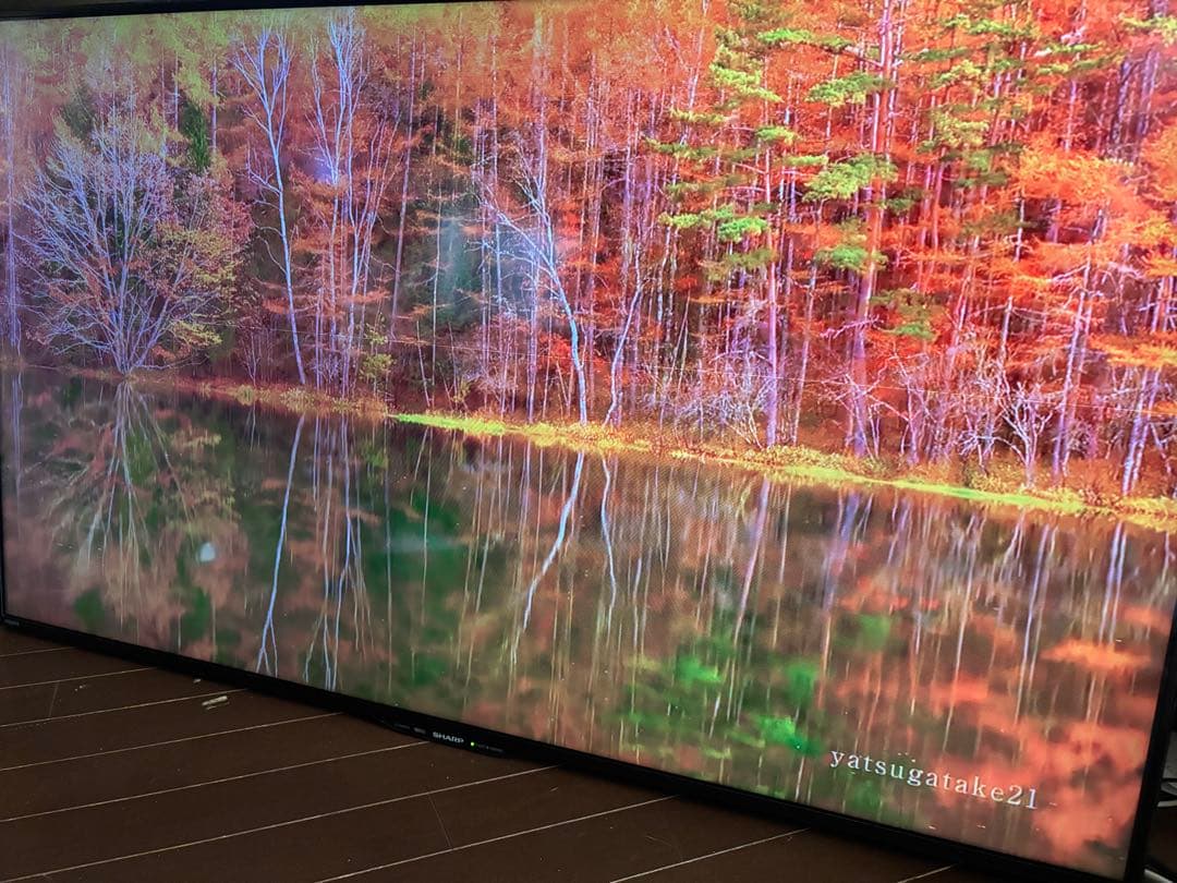 SHARP シャープ50インチ LC-50W30