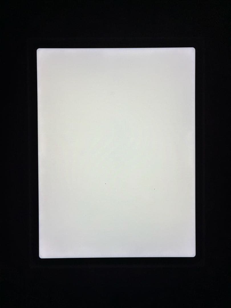 iPad Pro 12.9 第五世代 Wi-Fi Cellular 128GB