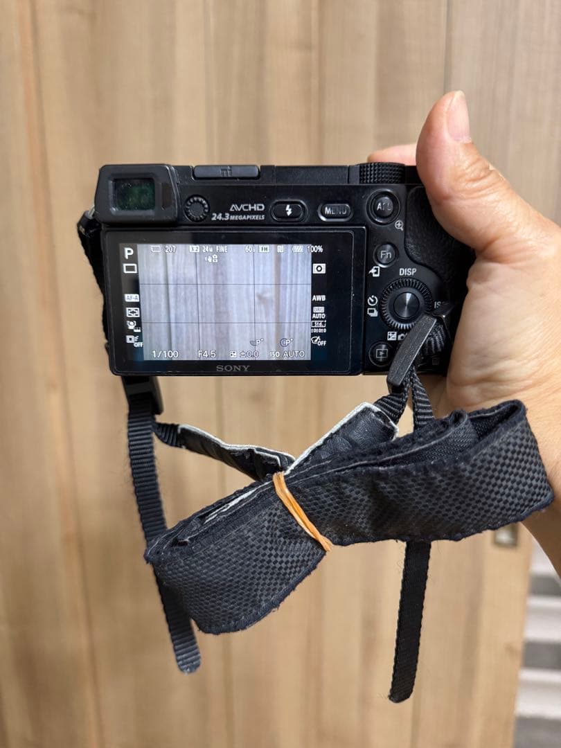 Sony α6000 ミラーレス一眼