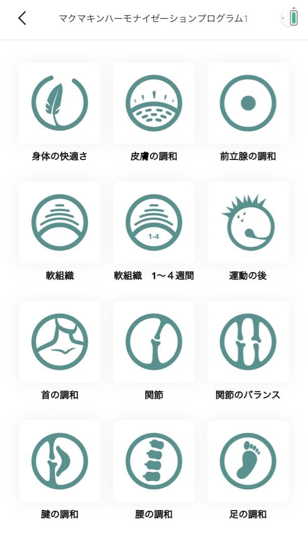 マグヒーリー maghealy