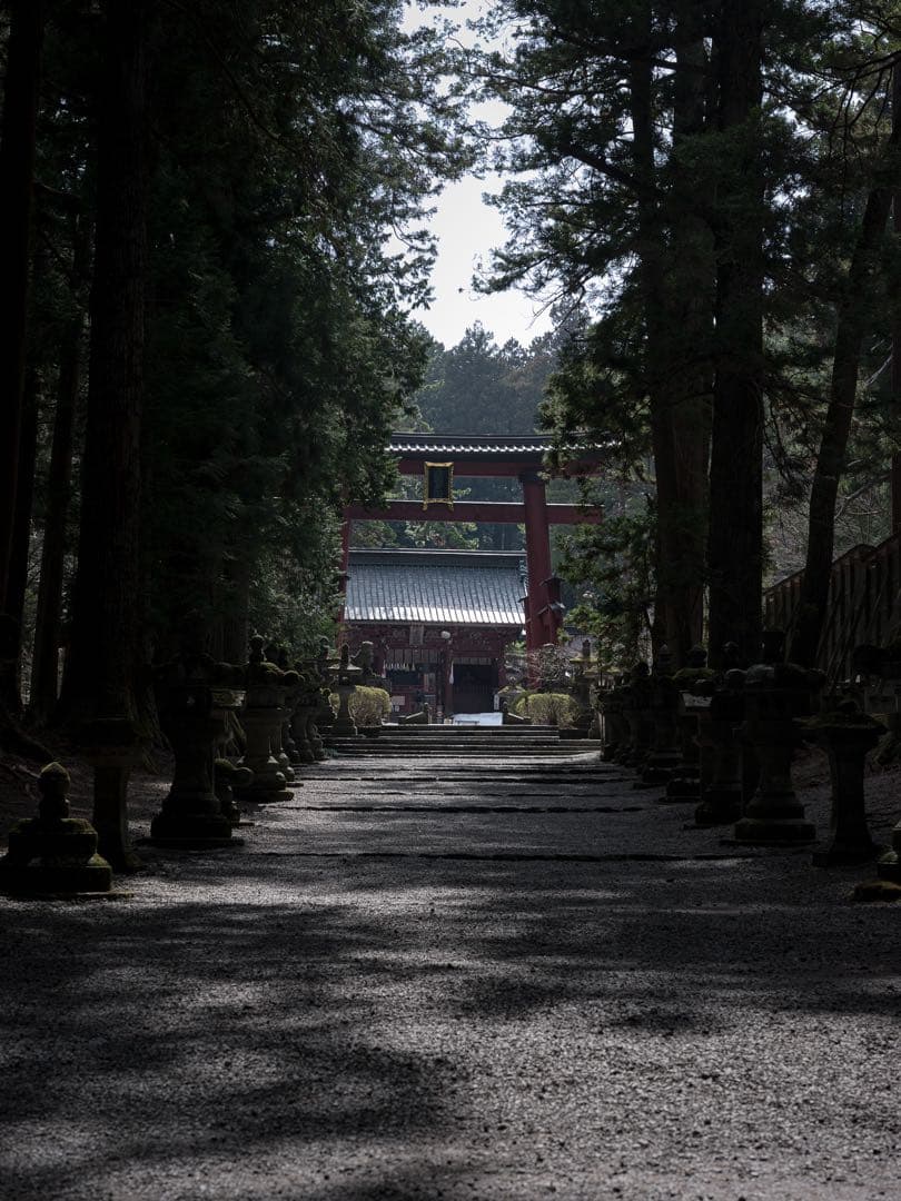 レンズ(単焦点) FUJIFILM GF80mm F1.7 R WR