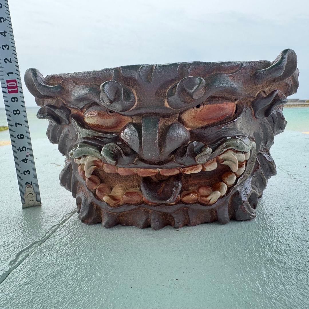 鉢　陶器　Japan　Art　アガベ　パキプス　　塊根　盆栽　History