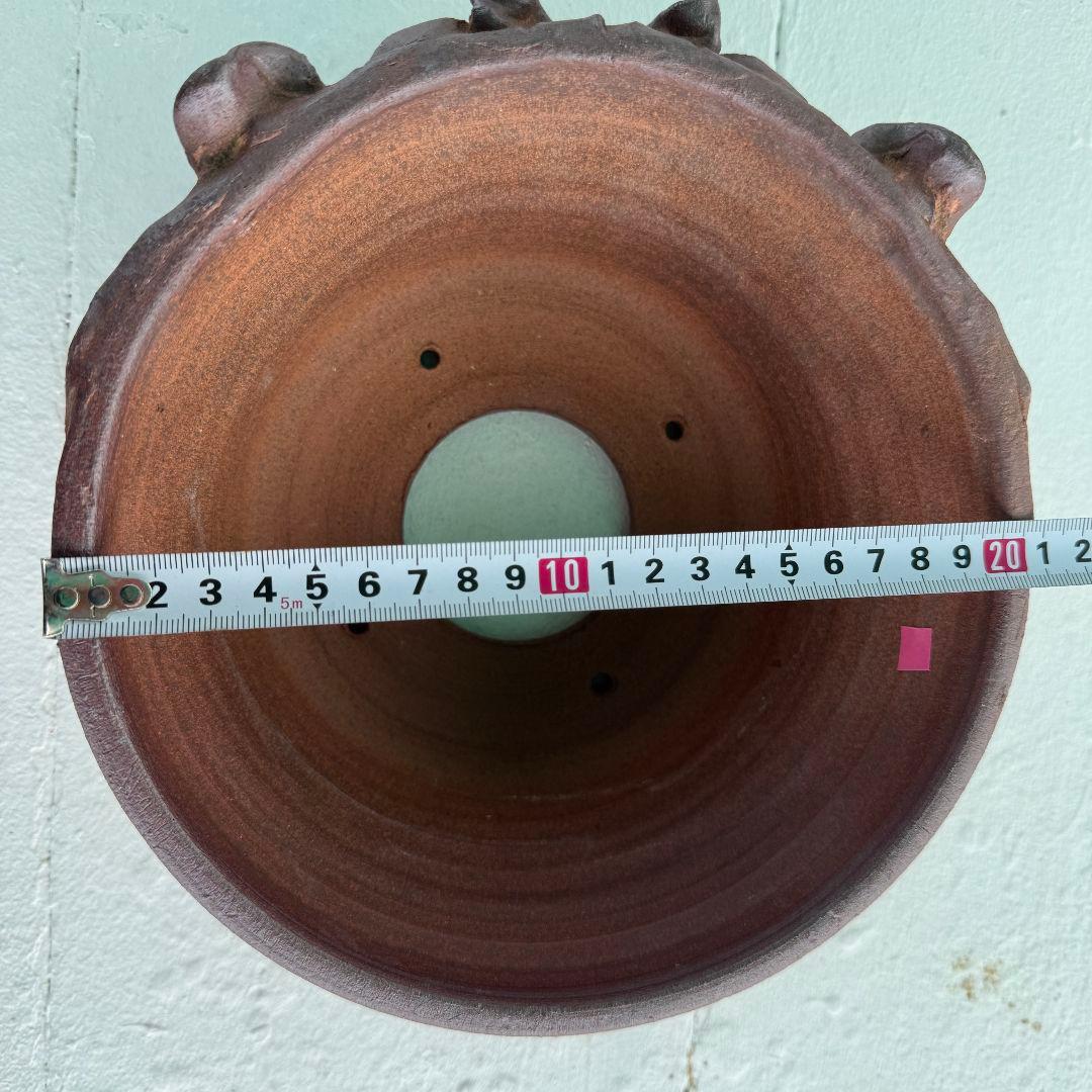 鉢　陶器　Japan　Art　アガベ　パキプス　　塊根　盆栽　History