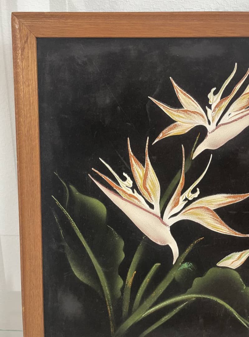 コレクション Hale Pua/ Black Velvet Bird of Paradise