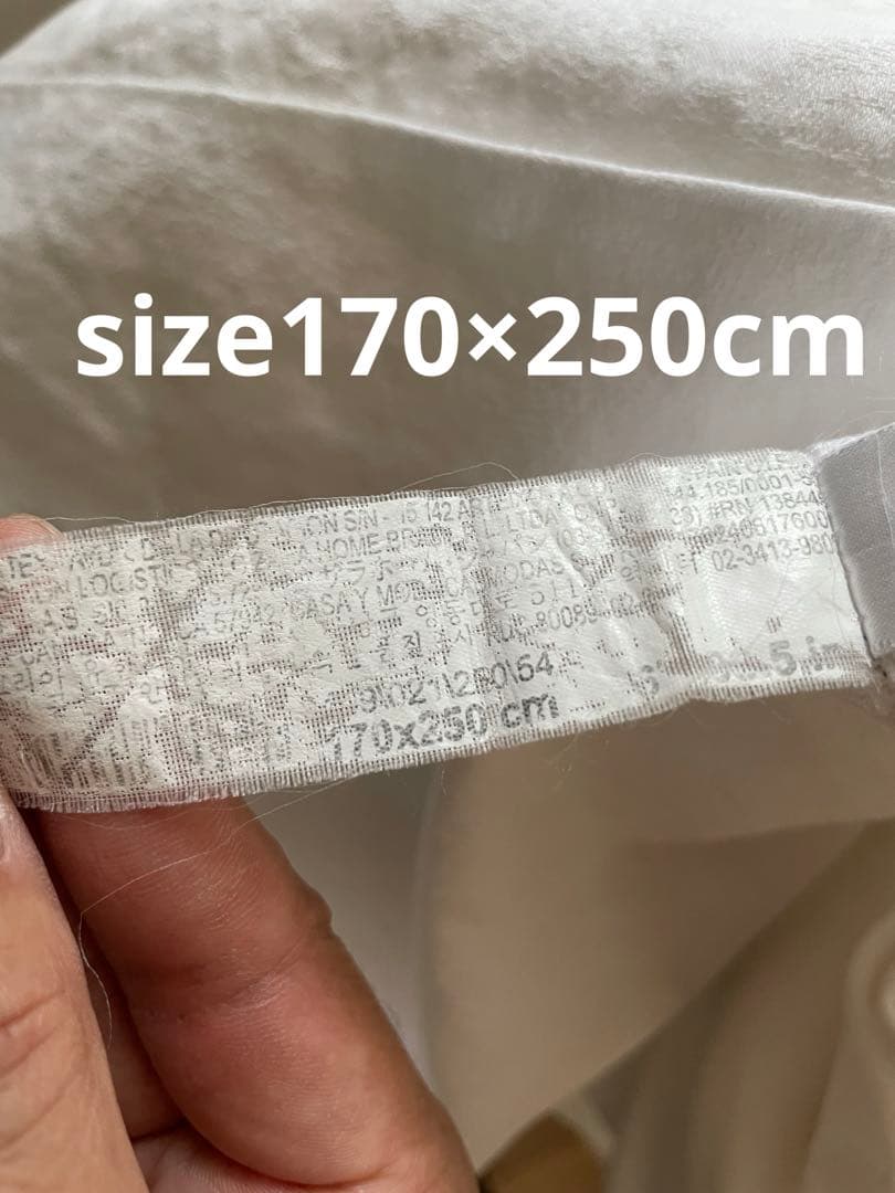 ZARA テーブルクロス ポルトガル製コットン　170×250cm