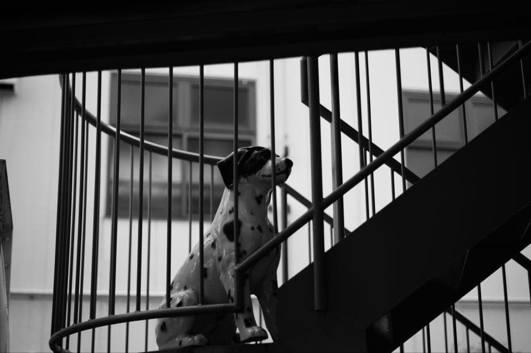 トリウム　Summicron 5cm f/2 レンズ Lマウント　Leica