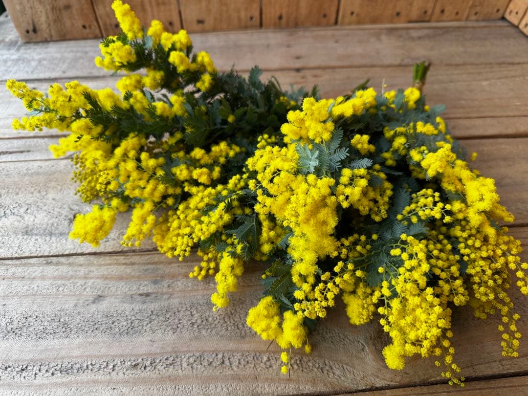 38様 リクエスト 4点 まとめ商品